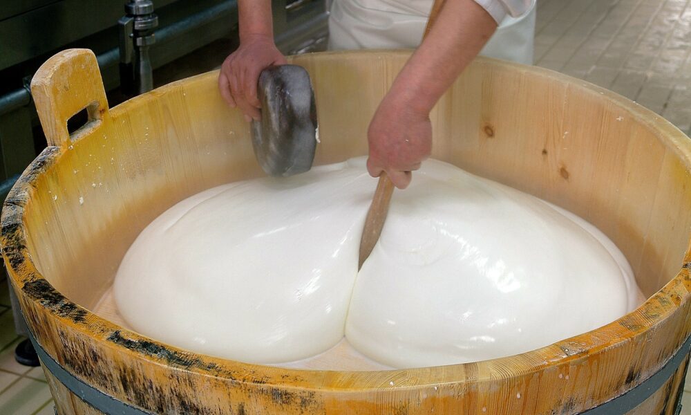 Lavorazione-della-mozzarella-di-bufala-campana