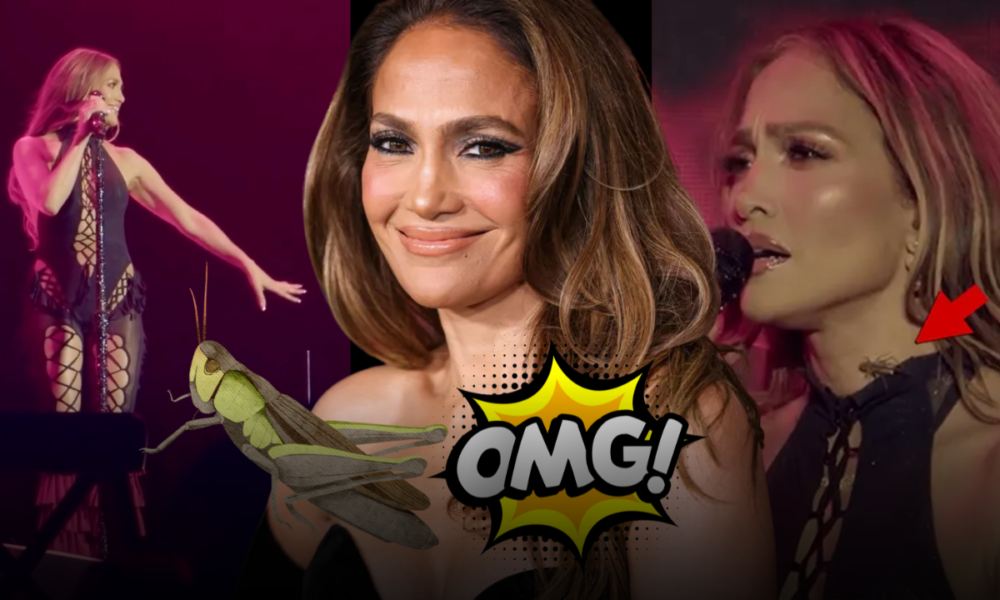 J Lo
