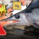 pesce