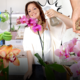 orchidee