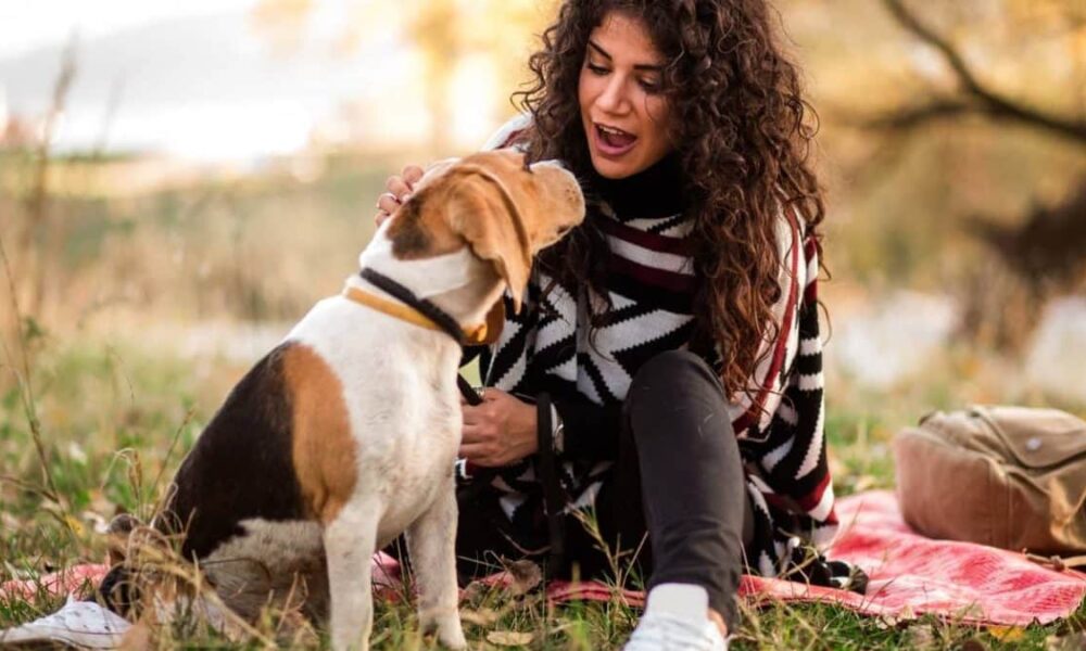 Parlare con il cane