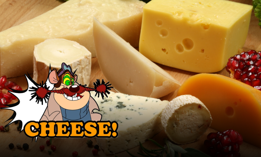 Formaggi e intolleranza al lattosio