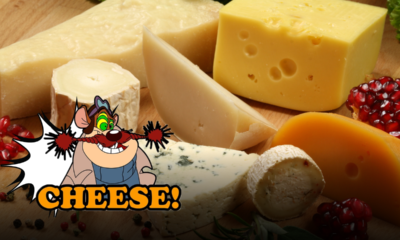 Formaggi e intolleranza al lattosio