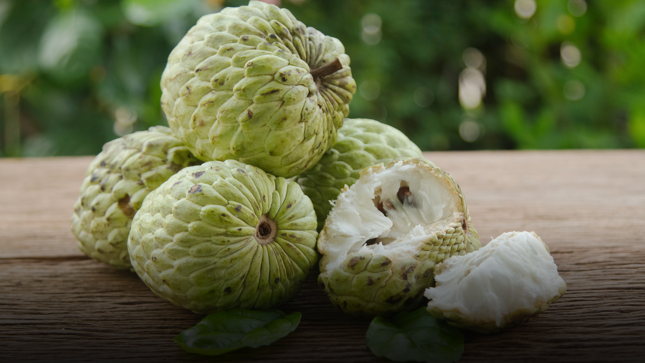 Anone, il frutto esotico