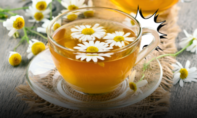 Camomilla, il rimedio gentile: cosa c’è di vero sugli effetti calmanti e protettivi