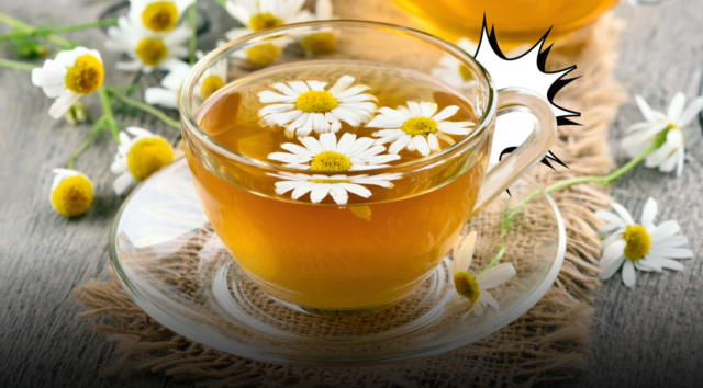 Camomilla, il rimedio gentile: cosa c’è di vero sugli effetti calmanti e protettivi