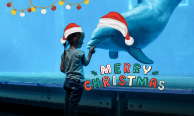Genova si illumina di meraviglia: il Natale dell’AcquarioVillage tra mare, scienza e magia