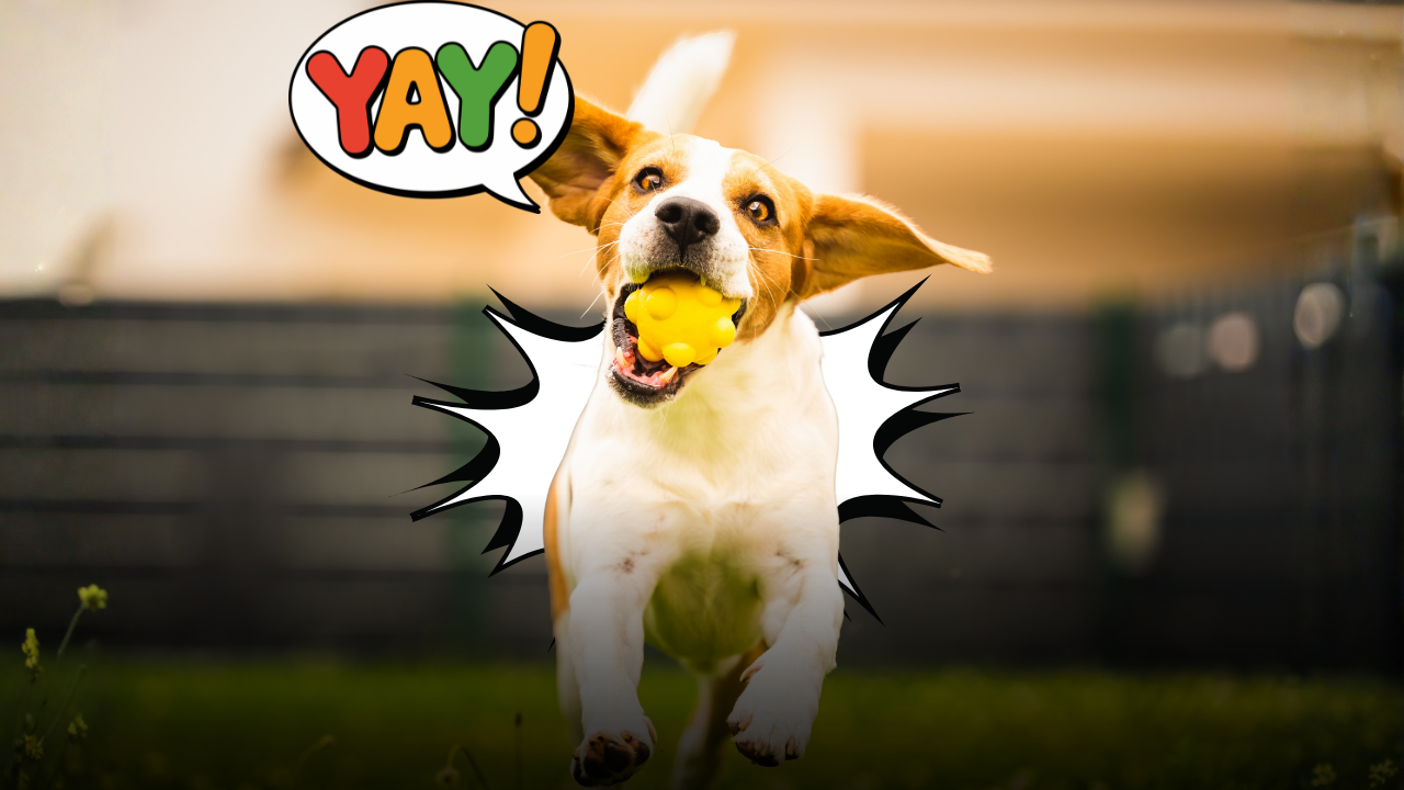 Quando lanciare la palla non basta più