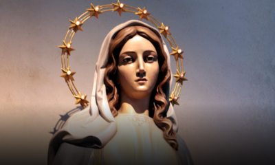 Perché l’8 dicembre l’Italia si ferma davvero: la verità sull’Immacolata