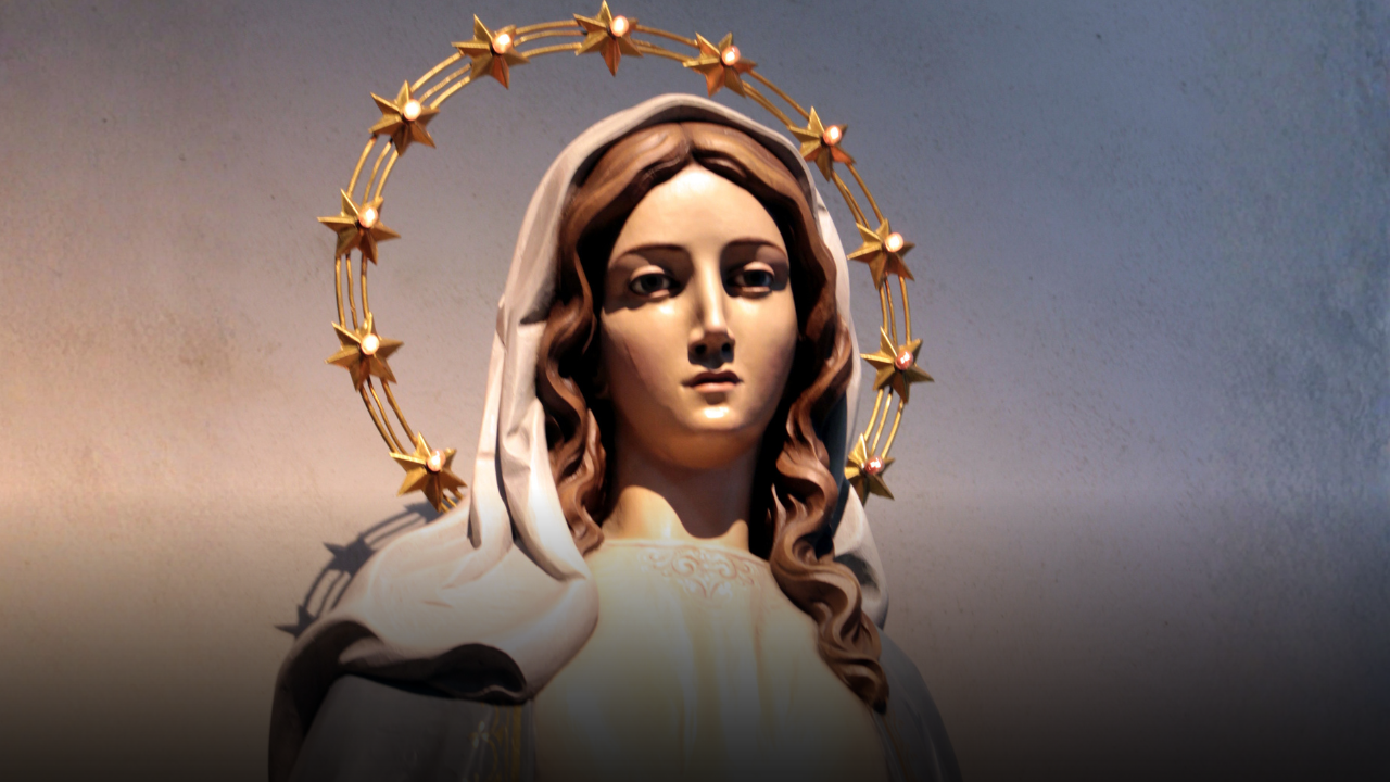 Perché l’8 dicembre l’Italia si ferma davvero: la verità sull’Immacolata