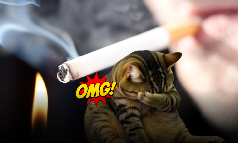 Fumo e animali domestici