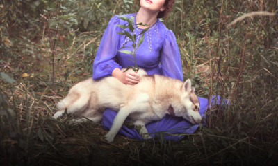 Quando muore un animale domestico: cosa fare e quali sono i passi da seguire