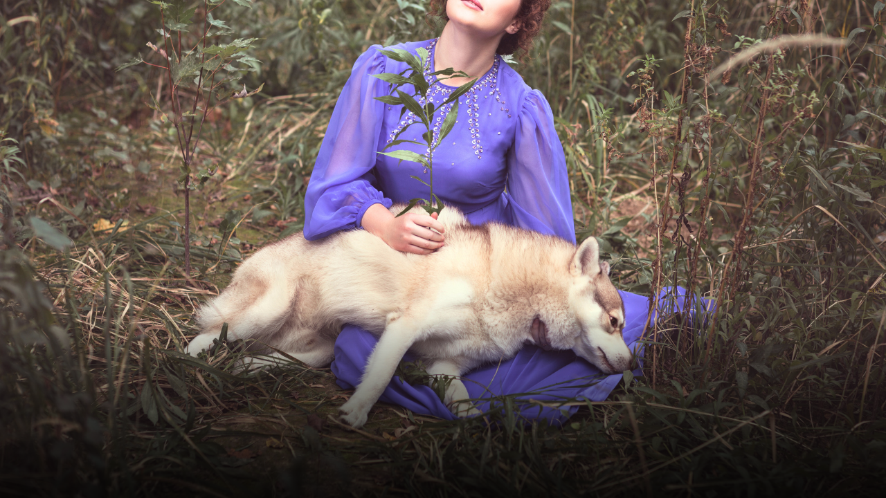 Quando muore un animale domestico: cosa fare e quali sono i passi da seguire