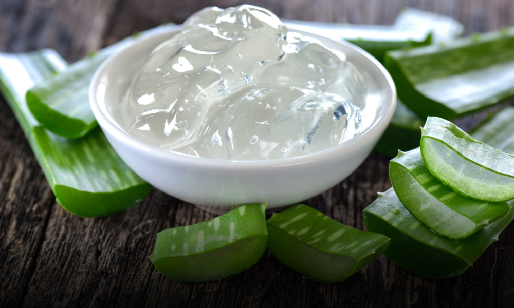 Aloe vera, il tesoro verde in casa