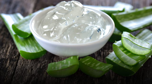 Aloe vera, il tesoro verde in casa