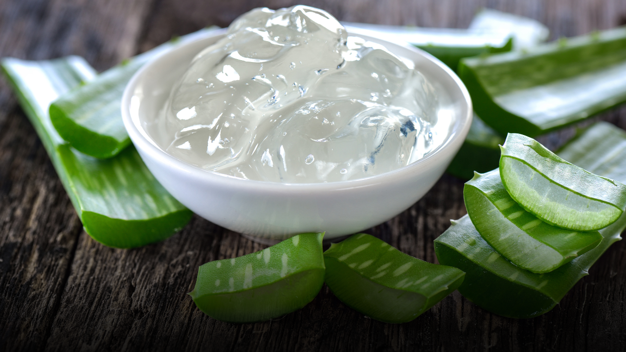 Aloe vera, il tesoro verde in casa