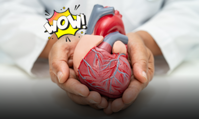 Bypass senza bisturi: la cardiologia apre una nuova era