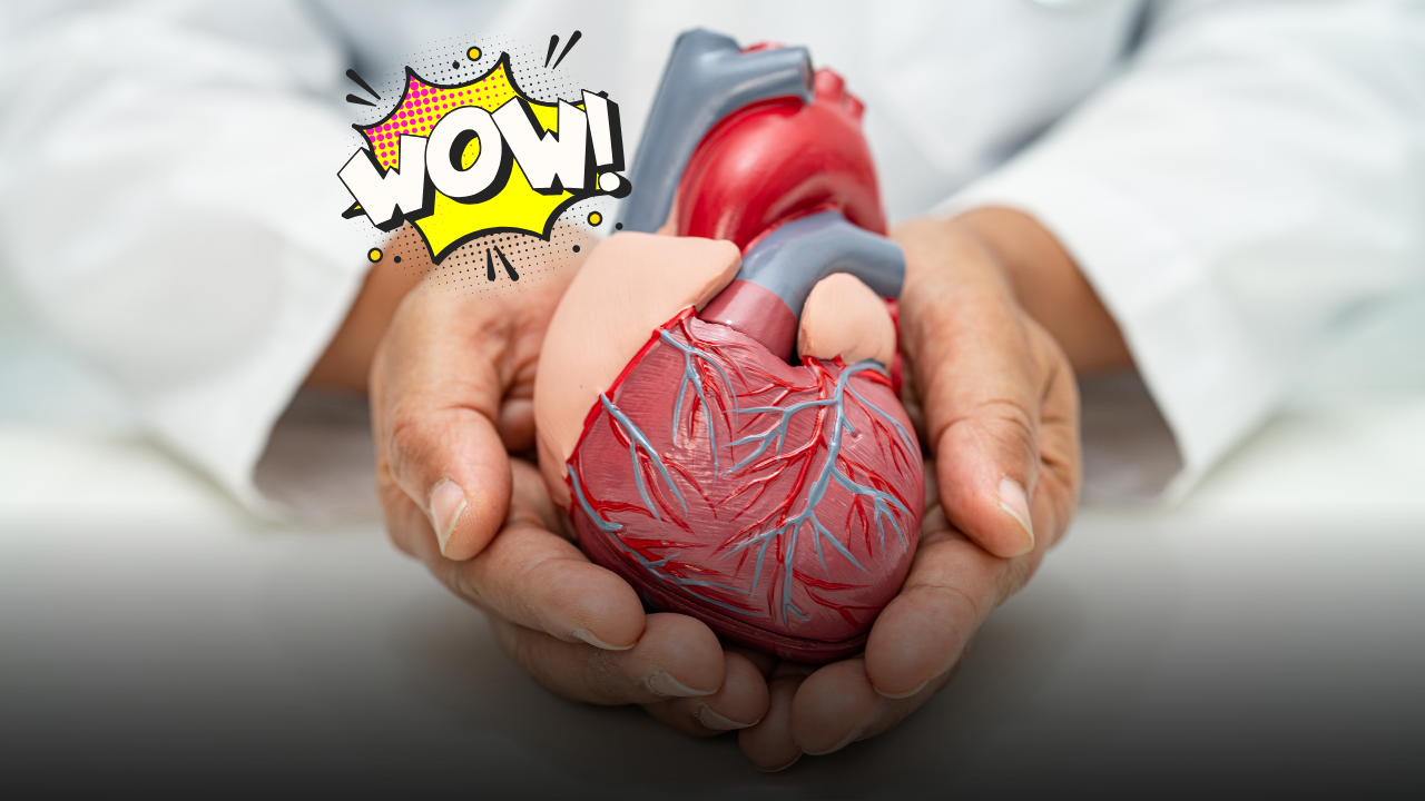 Bypass senza bisturi: la cardiologia apre una nuova era