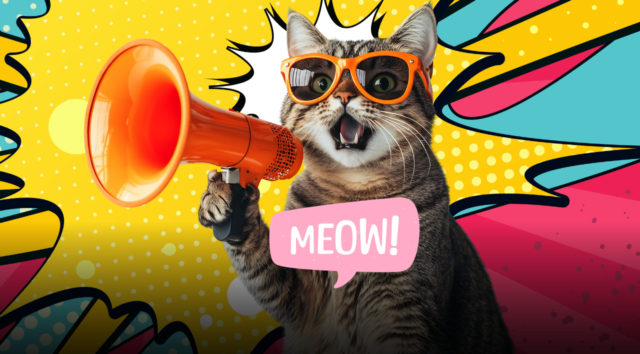 Febbraio è il mese dei gatti