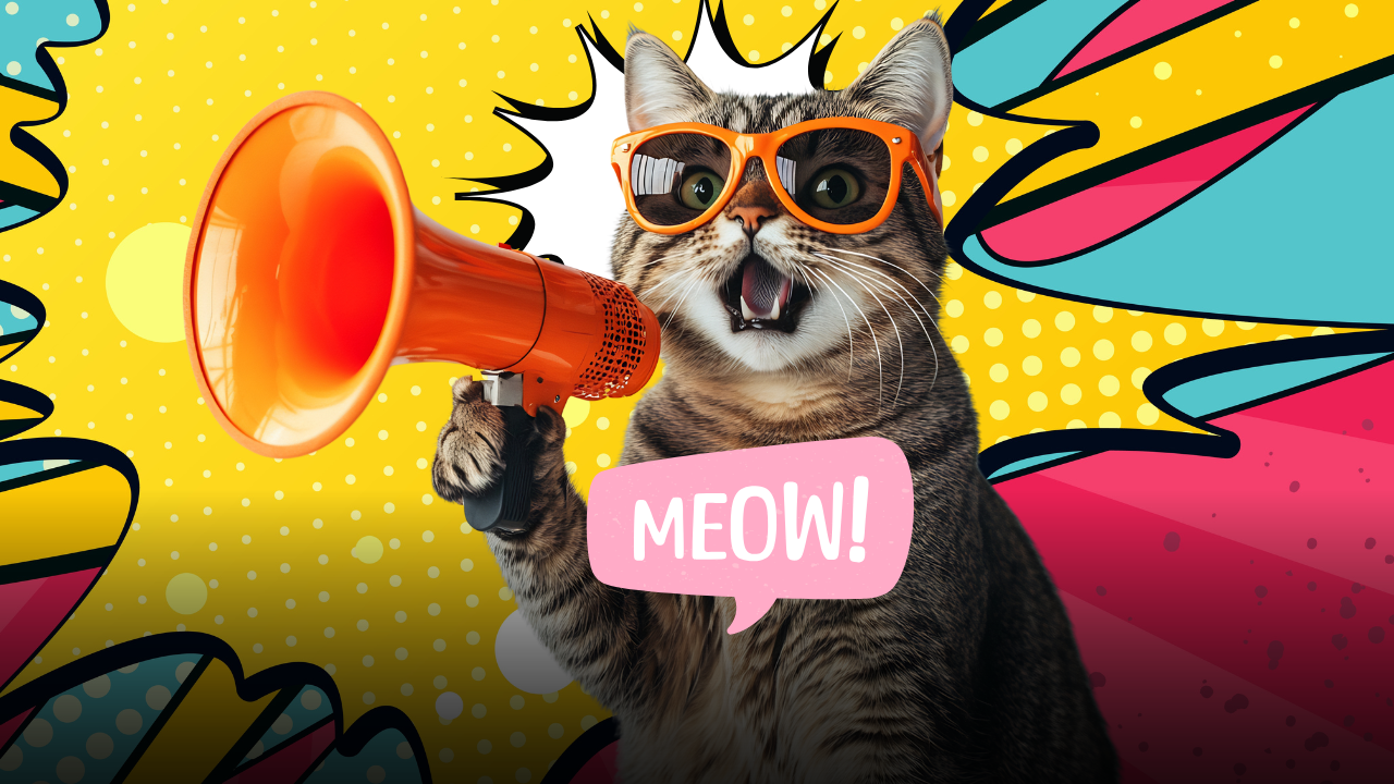 Febbraio è il mese dei gatti