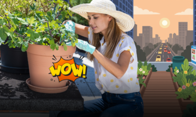 La rivoluzione verde sotto casa: quando il giardinaggio domestico diventa economia e protesta