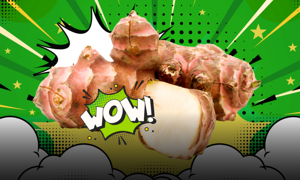 Topinambur, il tesoro dell’orto di marzo: storia curiosa, proprietà nutrizionali e idee per portarlo in tavola