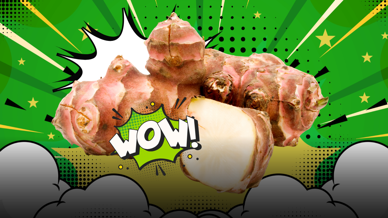 Topinambur, il tesoro dell’orto di marzo: storia curiosa, proprietà nutrizionali e idee per portarlo in tavola