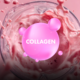 L’elisir di giovinezza nel bicchiere: il cocktail al collagene pronto in 5 minuti