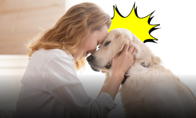 Genitori e figli, umani e cani: come la tua infanzia influenza il modo in cui educhi il tuo pet