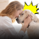 Genitori e figli, umani e cani: come la tua infanzia influenza il modo in cui educhi il tuo pet