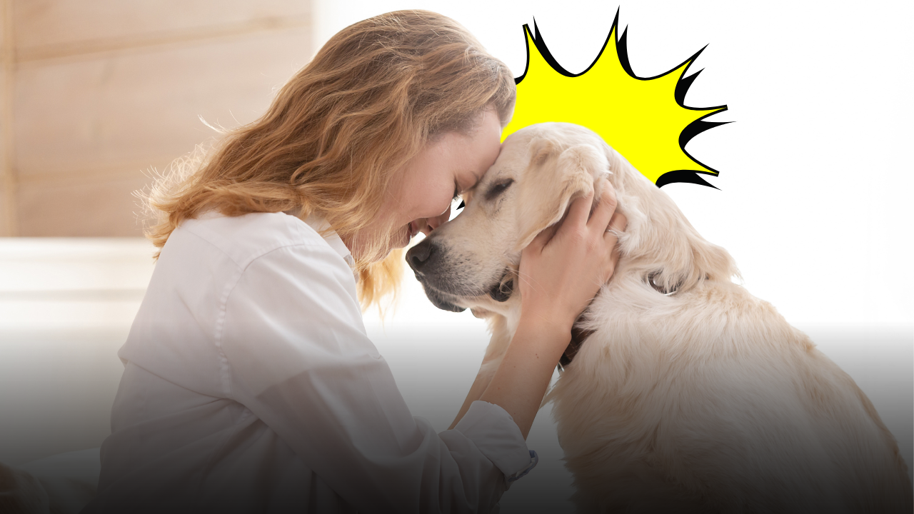 Genitori e figli, umani e cani: come la tua infanzia influenza il modo in cui educhi il tuo pet