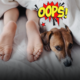 Condividere il letto con il cane? I rischi per la salute che nessuno ti dice e i comportamenti corretti per evitare infezioni e parassiti