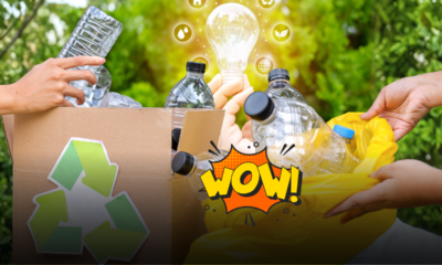 Plastica trasformata in energia pulita a zero emissioni: la scoperta di UCLA ed Ewha Womans University che cambia il futuro del pianeta