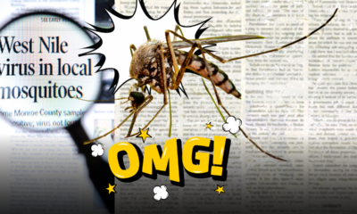 Allarme West Nile in Italia: come si trasmette la Febbre del Nilo, i sintomi a cui prestare attenzione e le mosse giuste per difendersi