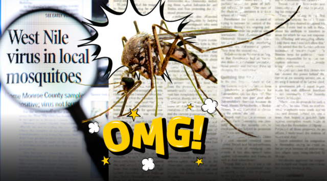 Allarme West Nile in Italia: come si trasmette la Febbre del Nilo, i sintomi a cui prestare attenzione e le mosse giuste per difendersi