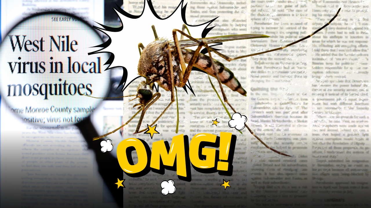 Allarme West Nile in Italia: come si trasmette la Febbre del Nilo, i sintomi a cui prestare attenzione e le mosse giuste per difendersi