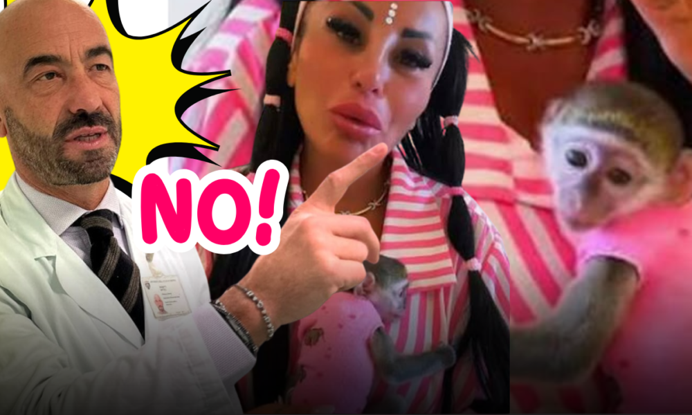 Una scimmietta in casa per i follower? Il video di Rita De Crescenzo, la dura reazione di Matteo Bassetti e i pericoli sanitari reali