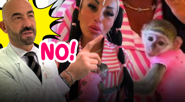 Una scimmietta in casa per i follower? Il video di Rita De Crescenzo, la dura reazione di Matteo Bassetti e i pericoli sanitari reali