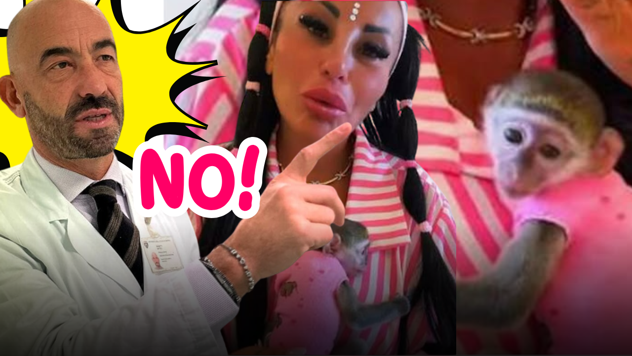 Una scimmietta in casa per i follower? Il video di Rita De Crescenzo, la dura reazione di Matteo Bassetti e i pericoli sanitari reali