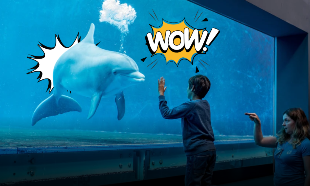 Quando il mare si sveglia di notte: la magia serale dell'Acquario di Genova tra cene al tramonto e tariffe speciali