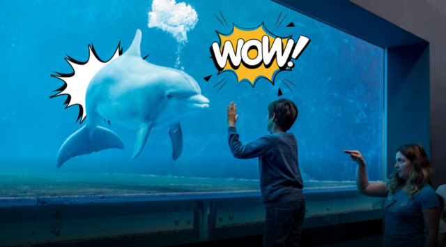 Quando il mare si sveglia di notte: la magia serale dell'Acquario di Genova tra cene al tramonto e tariffe speciali