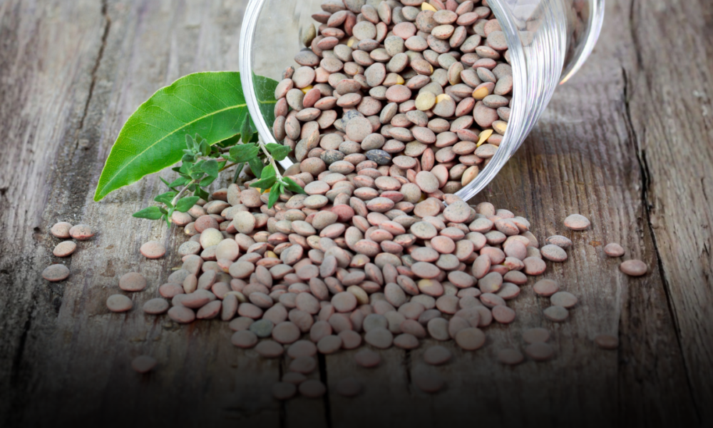 Perché integrare le lenticchie nel proprio menu settimanale fa bene alla salute: zero colesterolo e tante proteine vegetali
