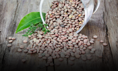 Perché integrare le lenticchie nel proprio menu settimanale fa bene alla salute: zero colesterolo e tante proteine vegetali
