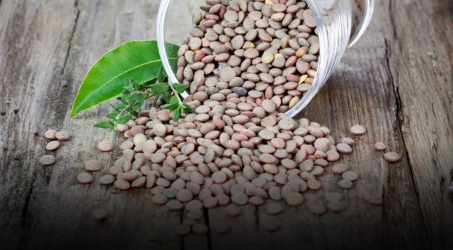 Perché integrare le lenticchie nel proprio menu settimanale fa bene alla salute: zero colesterolo e tante proteine vegetali