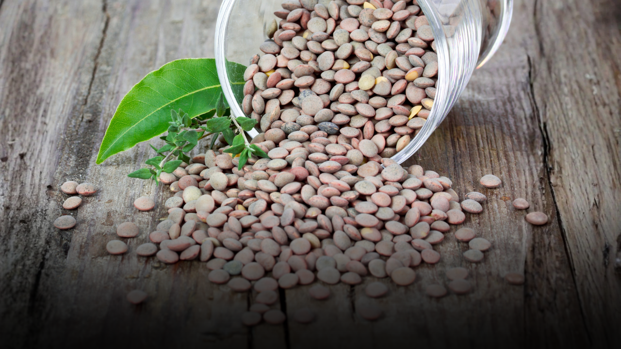 Perché integrare le lenticchie nel proprio menu settimanale fa bene alla salute: zero colesterolo e tante proteine vegetali