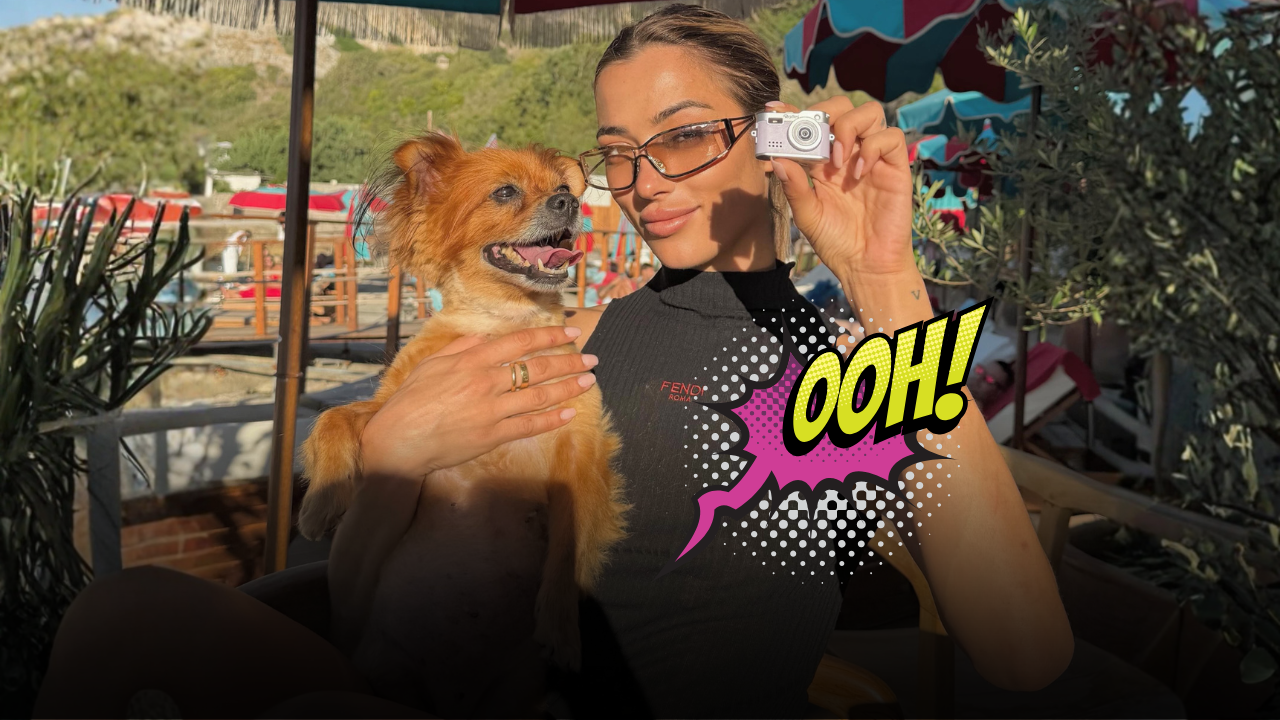 Dramma per Soleil Sorge, il cane Simbah sta male: la corsa contro il tempo e la catena di solidarietà dei fan